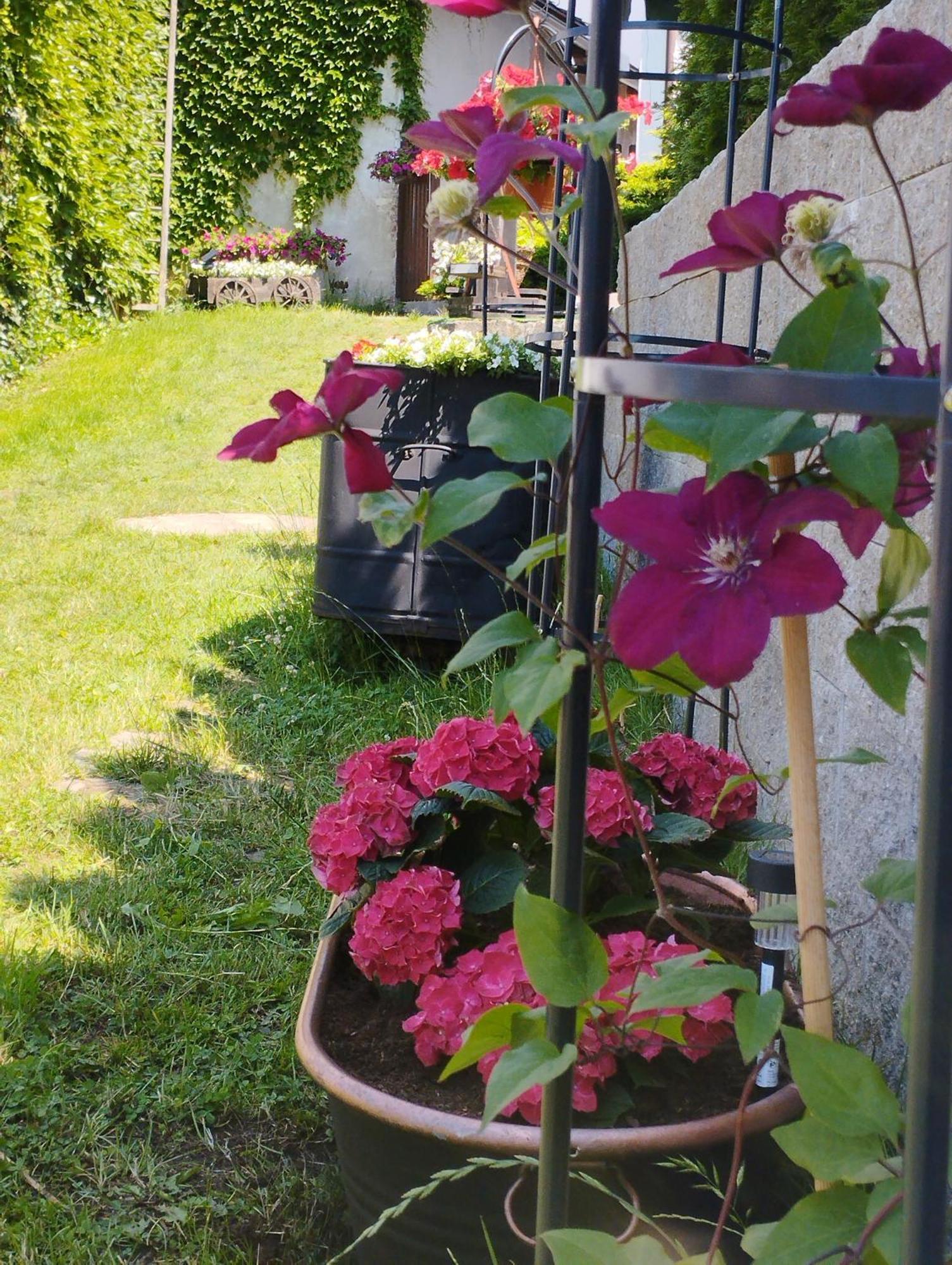 Penzion Restaurace U Helferu Libuň Buitenkant foto