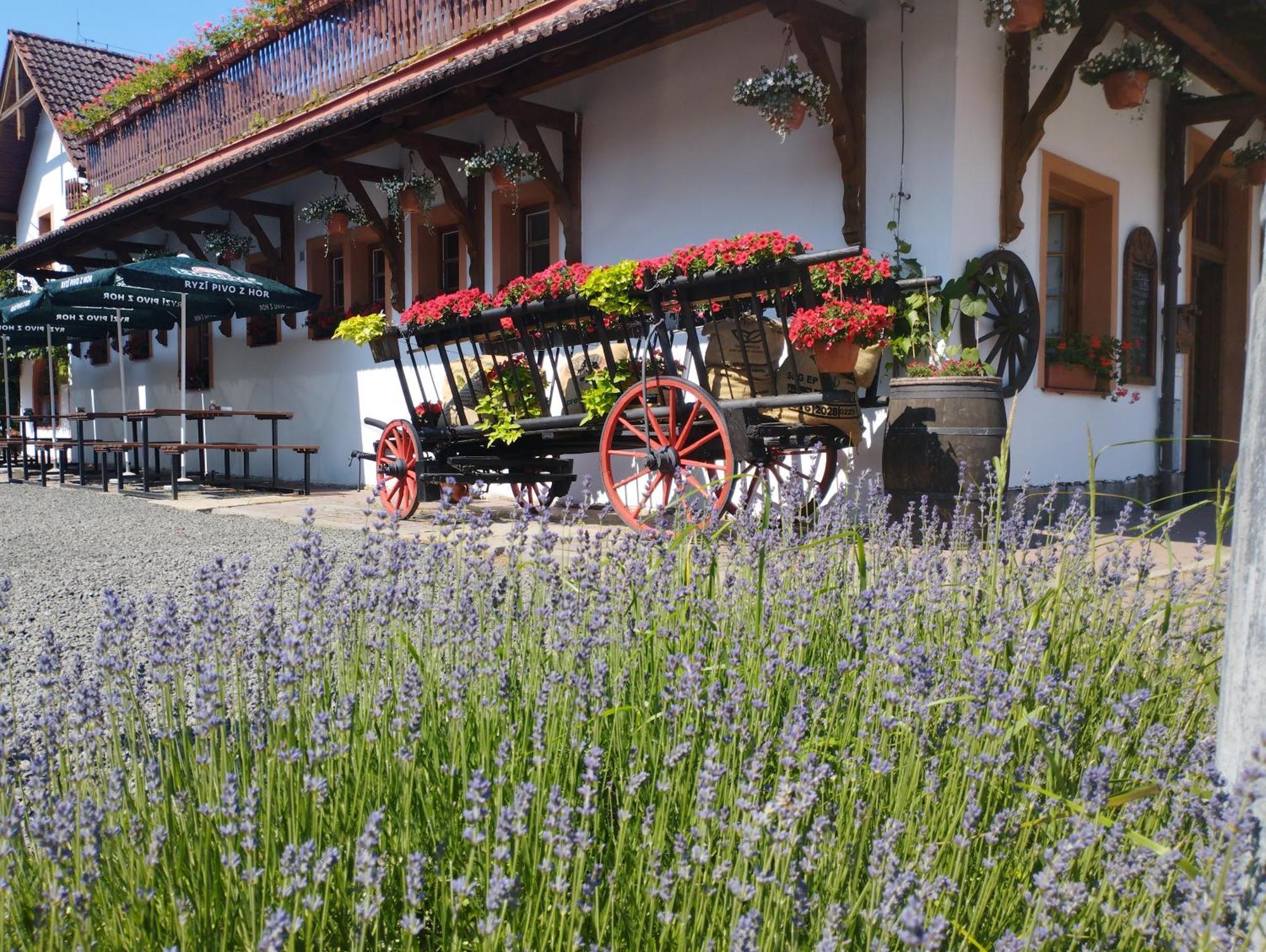 Penzion Restaurace U Helferu Libuň Buitenkant foto