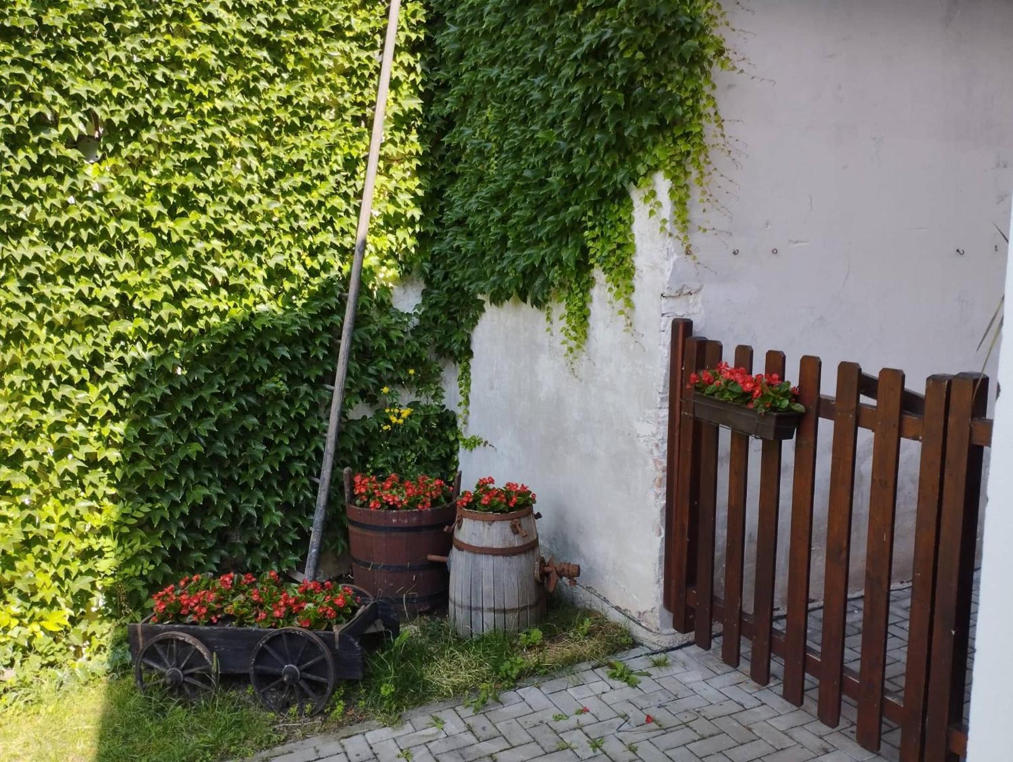 Penzion Restaurace U Helferu Libuň Buitenkant foto